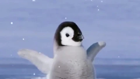 iPhone  Android Baby Emperor Penguin Ice Phone Live Wallpaper - Free Live Wallpaper
