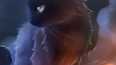 iPhone and Android Fantasy Cat Stars Live Phone Wallpaper - Free Live Wallpaper