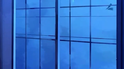 iPhone  Android Whales Swimming Outside The Window Phone Live Wallpaper - Free Live Wallpaper