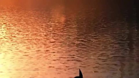 iPhone  Android Wind Spinner Evenings 4k Nature Phone Live Wallpaper - Free Live Wallpaper