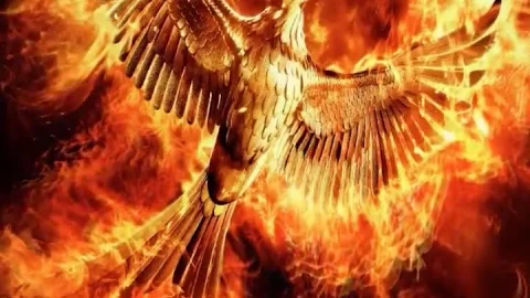 iPhone  Android The Hunger Games Mockingjay Phone Live Wallpaper - Free Live Wallpaper