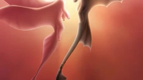 iPhone and Android Toothless And Light Fury How To Train Your Dragon The Hidden World Live - Free Live Wallpaper