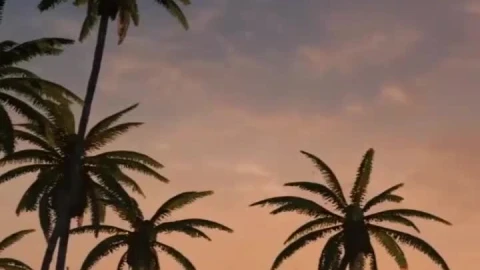 Live Evening Beach Wallpaper To iPhone And Android - Free Live Wallpaper