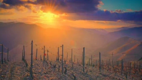 sunset series live wallpaper free - Free Live Wallpaper