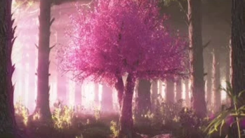 Sakura Tree Anime Live Wallpaper - Free Live Wallpaper