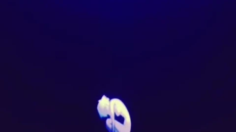 Evangelion Rei Ayanami Live Wallpaper - Free Live Wallpaper