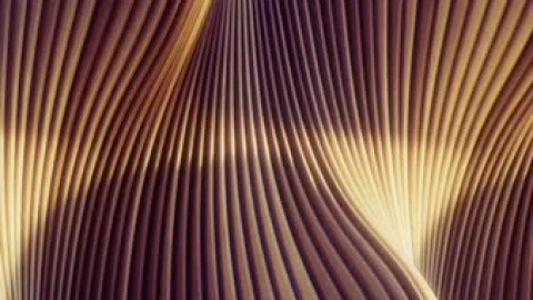 Wood Art Wave Curve Live Wallpaper - Free Live Wallpaper