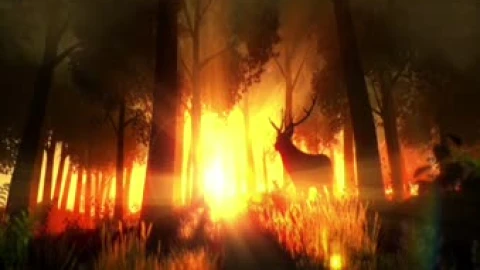 Sunset Deer Live Wallpaper Engine - Free Live Wallpaper