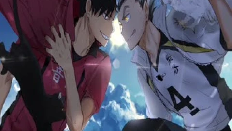 Anime Cats Vs Owls Haikyu Live Wallpaper - Free Live Wallpaper
