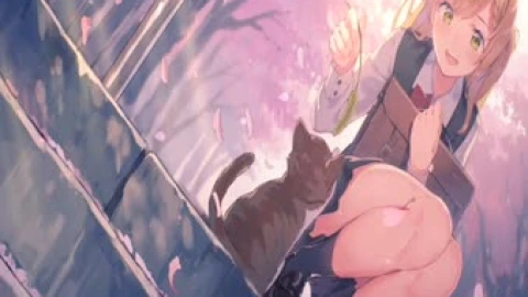 Live Haruiro Step Anime Wallpaper - Free Live Wallpaper