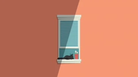 Sleepy Cat 1920x1080 Live Wallpaper - Free Live Wallpaper