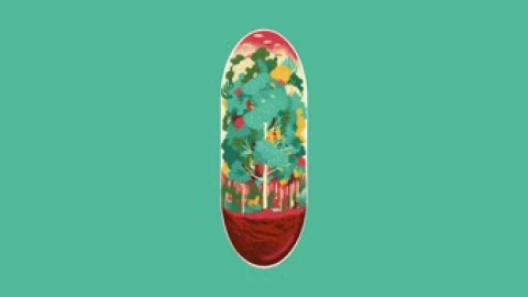Capsuled Forest 1920x1080 Live Wallpaper - Free Live Wallpaper