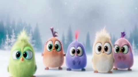 The Angry Birds Live Wallpaper - Free Live Wallpaper