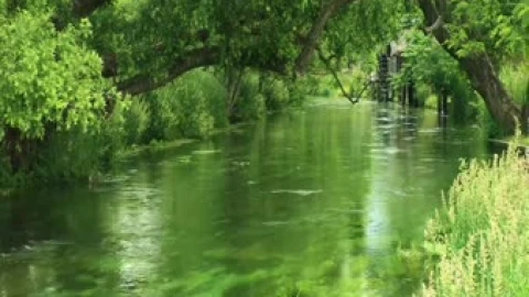 Azumino Water Scenery Live Wallpaper - Free Live Wallpaper