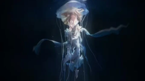Jellyfish Style Live Wallpaper - Free Live Wallpaper
