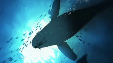 Whale And Sea Live Wallpaper - Free Live Wallpaper