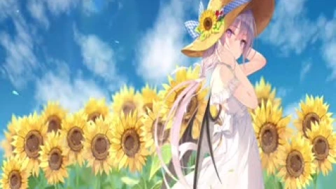 Sunflower Live Wallpaper - Free Live Wallpaper