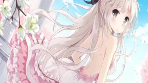 Kasugano Dome Live Wallpaper - Free Live Wallpaper