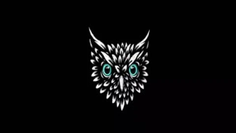 Owl Head Live Wallpaper - Free Live Wallpaper