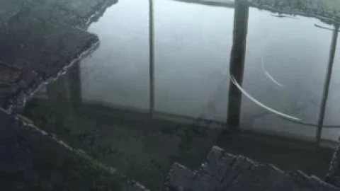 Puddle of Rain Live Wallpaper - Free Live Wallpaper