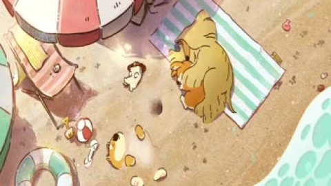 Doggie Corgi Beach Live Wallpaper - Free Live Wallpaper