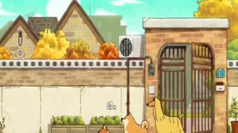 Doggie Corgi Walk Live Wallpaper - Free Live Wallpaper