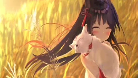 Shy Royal Fox Live Wallpaper - Free Live Wallpaper