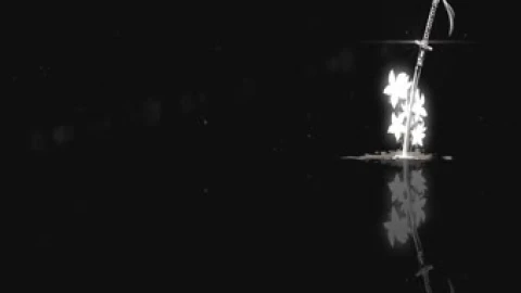 Faded Memories Live Wallpaper - Free Live Wallpaper