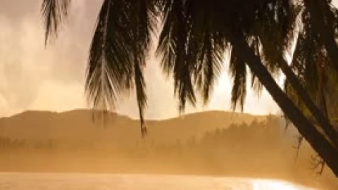 Beach Live Wallpaper - Free Live Wallpaper