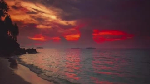 Beach Landscape - Free Live Wallpaper