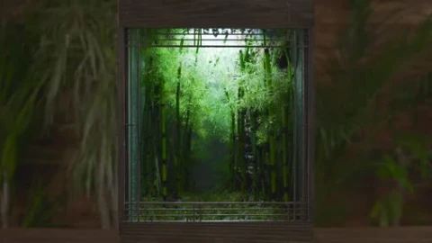 1440P Bamboo Wallpaper - Free Live Wallpaper