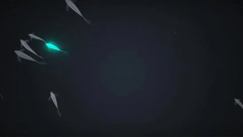 Dark Fish Pond - Free Live Wallpaper