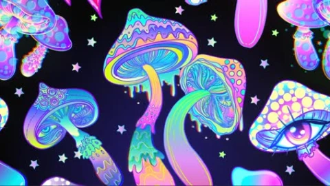 Mushroom Wallpaper - Free Live Wallpaper