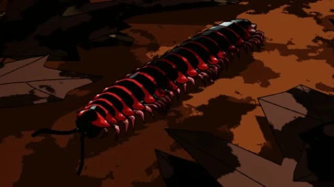 Sigmoria Millipede Lively Wallpaper - Free Live Wallpaper