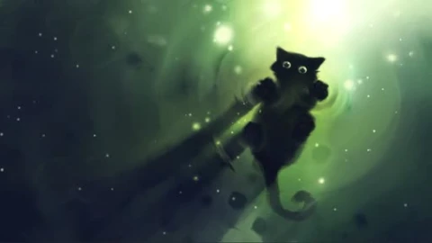 Water Cat Lively Wallpaper - Free Live Wallpaper