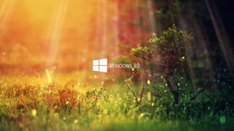 Comp 1 - Free Live Wallpaper
