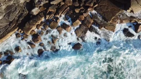 Nature - 31377 - Free Live Wallpaper