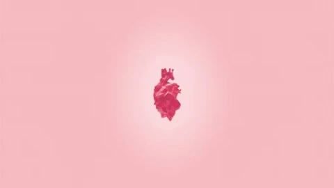 comme de garcons wallpaper - Free Live Wallpaper