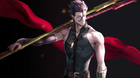 Fate Series Cybust Lancer PC - Free Live Wallpaper