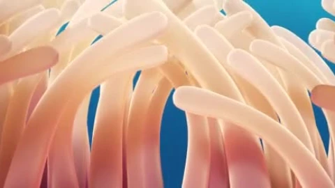 Finding Dory Disney Movies 2 - Free Live Wallpaper