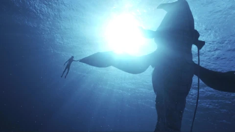 Avatar The Way of Water - Free Live Wallpaper