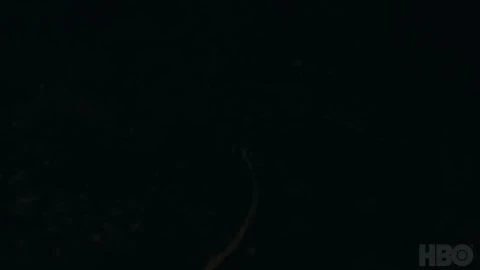 The Last of Us Opening HBO - Free Live Wallpaper