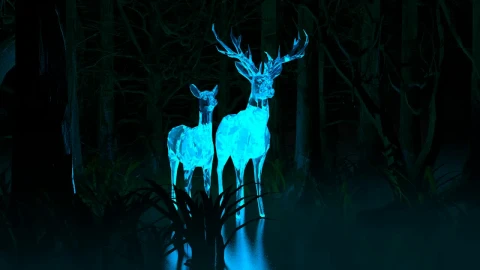 StagDoeLily x264 - Free Live Wallpaper