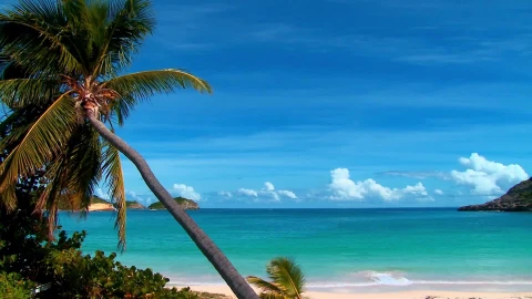 Tropical Beach 2 - Free Live Wallpaper