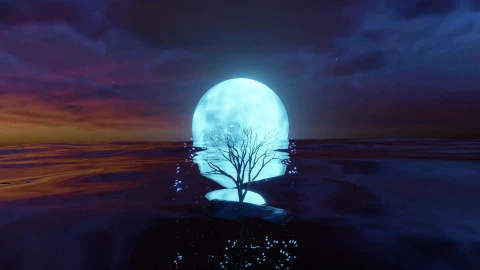 SciFiOceanTreev6 - Free Live Wallpaper