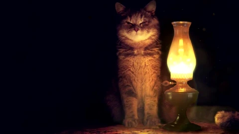 Lamp and Cat - Free Live Wallpaper