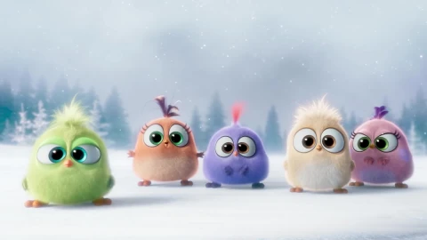 The Angry Birds Movie Seasons Greetings from the Hatchlings - Free Live Wallpaper