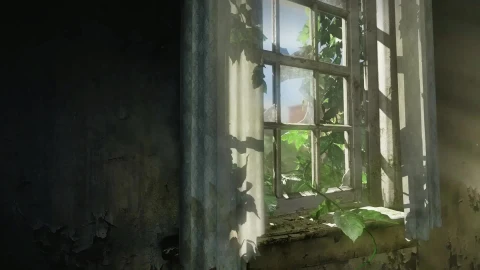 The Last of Us HDR - Free Live Wallpaper