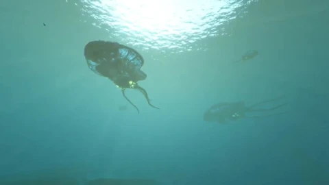 subnautica live wallpaper fhd reefbacks - Free Live Wallpaper