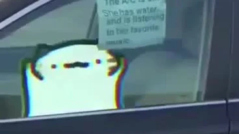 Cat In The Car Listening To Her Favorite Song - Free Live Wallpaper